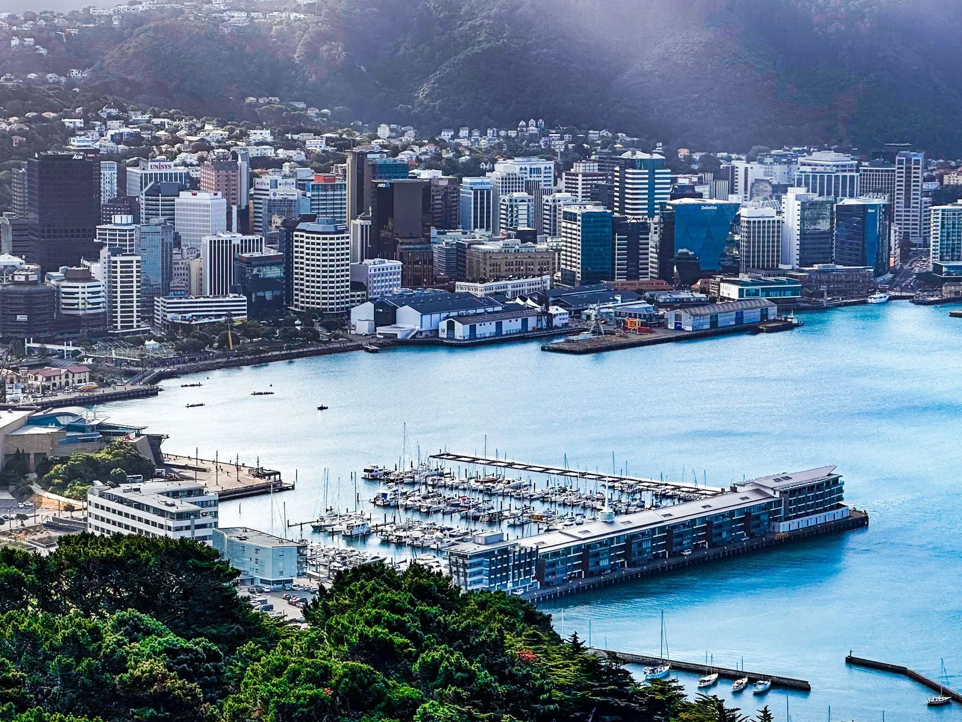 Wellington CBD and harbour